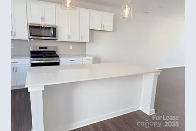 14105 Alley Mae None, Huntersville, NC 28078 - Photo 3