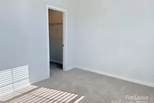 14105 Alley Mae None, Huntersville, NC 28078 - Photo 13