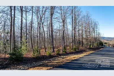 183 Woodgate Trail #103, Nebo, NC 28761 - Photo 3