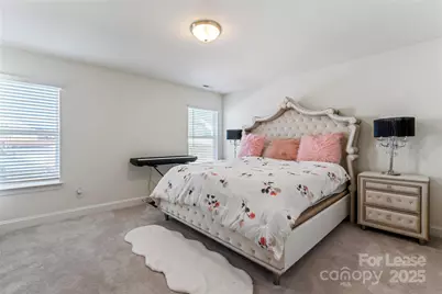 116 Farrier Lane, Statesville, NC 28677 - Photo 29