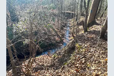 00 Ellis Ferry Road, Shelby, NC 28152 - Photo 3