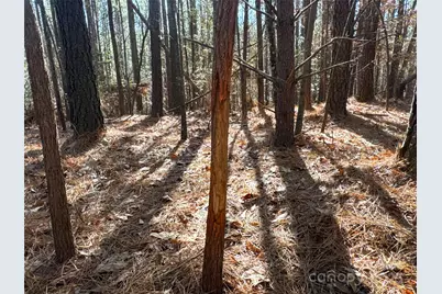 00 Ellis Ferry Road, Shelby, NC 28152 - Photo 19