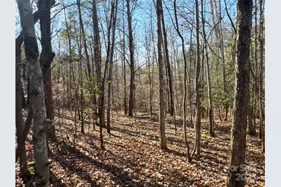 00 Ellis Ferry Road, Shelby, NC 28152 - Photo 23