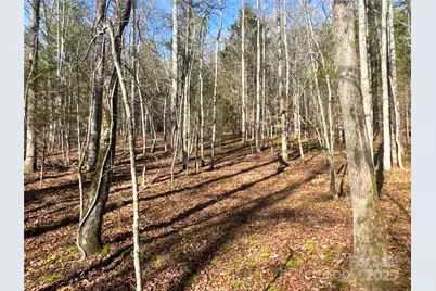 00 Ellis Ferry Road, Shelby, NC 28152 - Photo 31