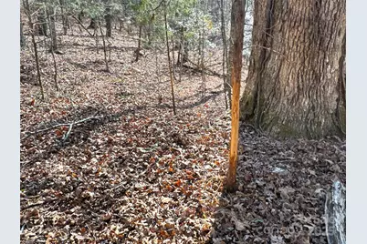 00 Ellis Ferry Road, Shelby, NC 28152 - Photo 7