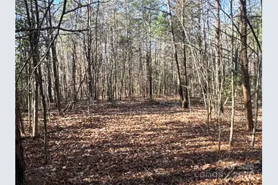 00 Ellis Ferry Road, Shelby, NC 28152 - Photo 21