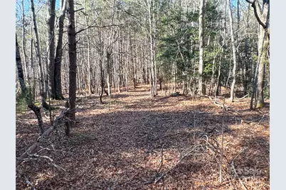 00 Ellis Ferry Road, Shelby, NC 28152 - Photo 5