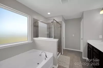 17147 Belmont Stakes Lane, Charlotte, NC 28278 - Photo 29