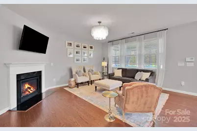 17147 Belmont Stakes Lane, Charlotte, NC 28278 - Photo 15