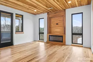 165 Abundance Run, Asheville, NC 28805 - Photo 7