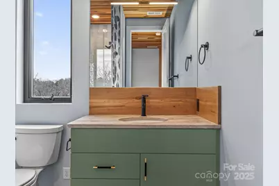 165 Abundance Run #8, Asheville, NC 28805 - Photo 25