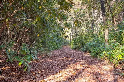 L 9A R Old Mine Point, Lake Toxaway, NC 28747 - Photo 1