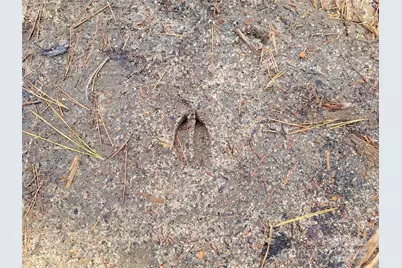 000 Skylark Lane #8, Tryon, NC 28782 - Photo 15