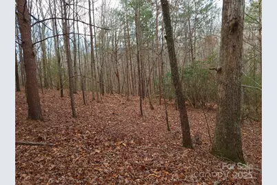 000 Skylark Lane #8, Tryon, NC 28782 - Photo 7