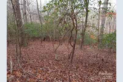 000 Skylark Lane #8, Tryon, NC 28782 - Photo 9