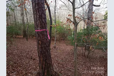 000 Skylark Lane #8, Tryon, NC 28782 - Photo 5