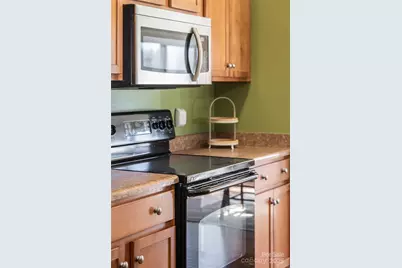 32 White Fox Drive, Fletcher, NC 28732 - Photo 17