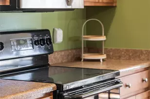 32 White Fox Dr, Fletcher, NC 28732 - Photo 17