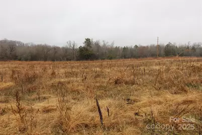 3.02+/-Ac Bess Road #LOT F, Bessemer City, NC 28016 - Photo 3