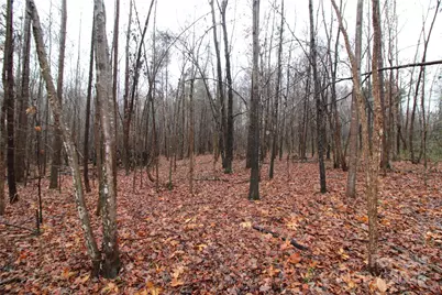 3.02+/-Ac Bess Road #LOT F, Bessemer City, NC 28016 - Photo 5