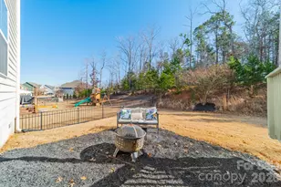 1817 Sapphire Meadow Dr, Fort Mill, SC 29715 - Photo 39