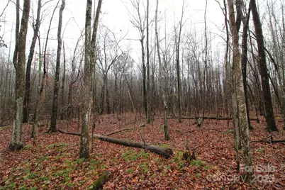 7.11+/-Ac Bess Road #LOT J, Bessemer City, NC 28016 - Photo 3