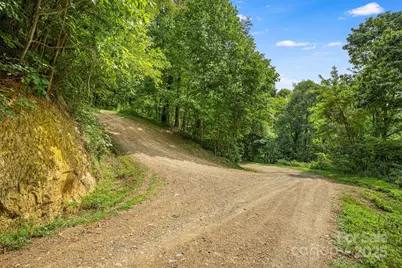 Lot 21 Cat Pen Branch Road, Hot Springs, NC 28743 - Photo 13