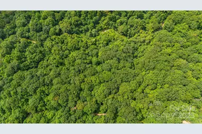 Lot 21 Cat Pen Branch Road, Hot Springs, NC 28743 - Photo 29