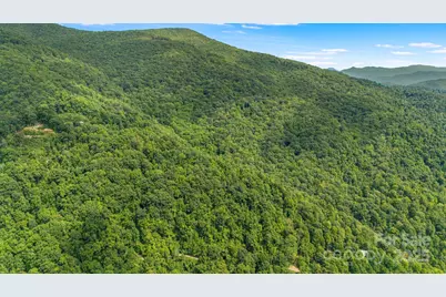 Lot 21 Cat Pen Branch Road, Hot Springs, NC 28743 - Photo 23