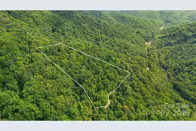 Lot 21 Cat Pen Branch Road, Hot Springs, NC 28743 - Photo 7