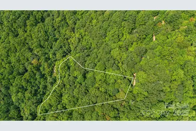 Lot 21 Cat Pen Branch Road, Hot Springs, NC 28743 - Photo 5