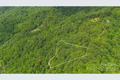 Lot 21 Cat Pen Branch Road, Hot Springs, NC 28743 - Photo 11