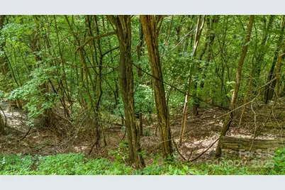 Lot 21 Cat Pen Branch Road, Hot Springs, NC 28743 - Photo 15