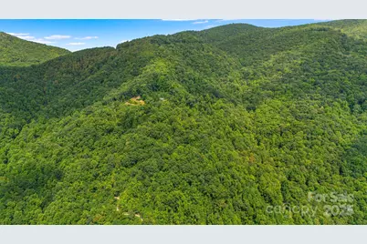 Lot 21 Cat Pen Branch Road, Hot Springs, NC 28743 - Photo 21