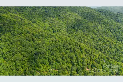 Lot 21 Cat Pen Branch Road, Hot Springs, NC 28743 - Photo 27