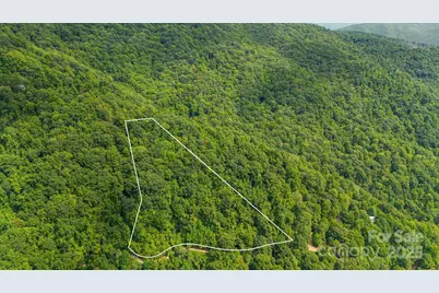 Lot 21 Cat Pen Branch Road, Hot Springs, NC 28743 - Photo 9