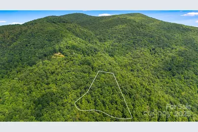 Lot 21 Cat Pen Branch Road, Hot Springs, NC 28743 - Photo 3