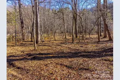 Lt 1,2,3 Caney Fork Road, Cullowhee, NC 28723 - Photo 33