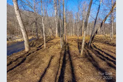 Lt 1,2,3 Caney Fork Road, Cullowhee, NC 28723 - Photo 23