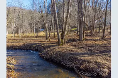 Lt 1,2,3 Caney Fork Road, Cullowhee, NC 28723 - Photo 19