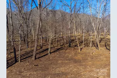 Lt 1,2,3 Caney Fork Road, Cullowhee, NC 28723 - Photo 41