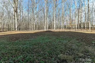 1409 Bloomsberry Ln, Waxhaw, NC 28173 - Photo 39