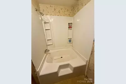 181 Song Sparrow Court, Rutherfordton, NC 28139 - Photo 9