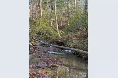 181 Song Sparrow Court, Rutherfordton, NC 28139 - Photo 3