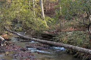 181 Song Sparrow Ct, Rutherfordton, NC 28139 - Photo 3