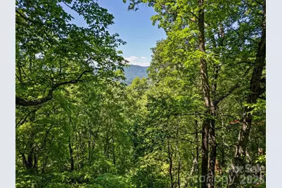 1392 Mount Chalet Road, Canton, NC 28716 - Photo 5