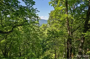 1392 Mt Chalet Rd, Canton, NC 28716 - Photo 5