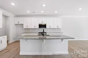 4333 Black Ct, Harrisburg, NC 28075 - Photo 3