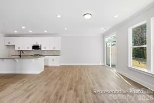 4333 Black Ct, Harrisburg, NC 28075 - Photo 9