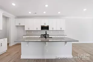 4333 Black Ct, Harrisburg, NC 28075 - Photo 3